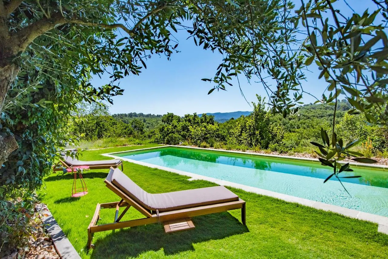 בית נופש Brue-Auriac Location Prestige 450 M2 Dans Chateau En Provence